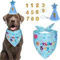 Dog wearing a 'Birthday Boy' bandana with a party hat and number accessories on a white background