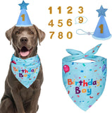 Dog wearing a 'Birthday Boy' bandana with a party hat and number accessories on a white background