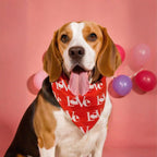 2PCS Christmas Dog Bandanas – Red and Green Plaid with Tassels