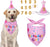 Dog wearing a 'Birthday Girl' bandana and party hat with decorative numbers.
