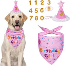 Dog wearing a 'Birthday Girl' bandana and party hat with decorative numbers.
