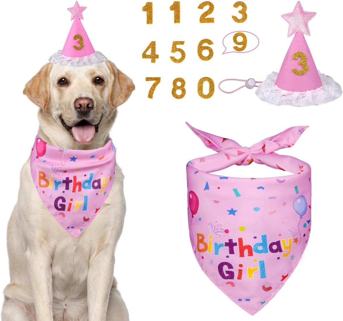 Dog wearing a 'Birthday Girl' bandana and party hat with decorative numbers.