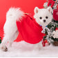 ANIAC Pet Christmas Costume – Cozy Cloak & Hat Set for Cats and Small Dogs