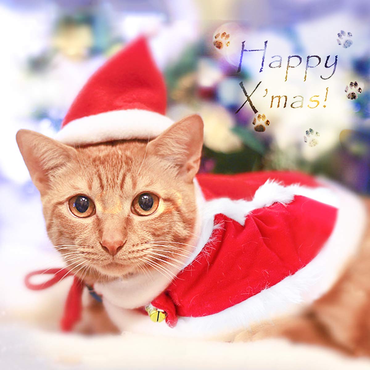 Cat Christmas Costume – Santa Hat & Cloak for Cats and Dogs