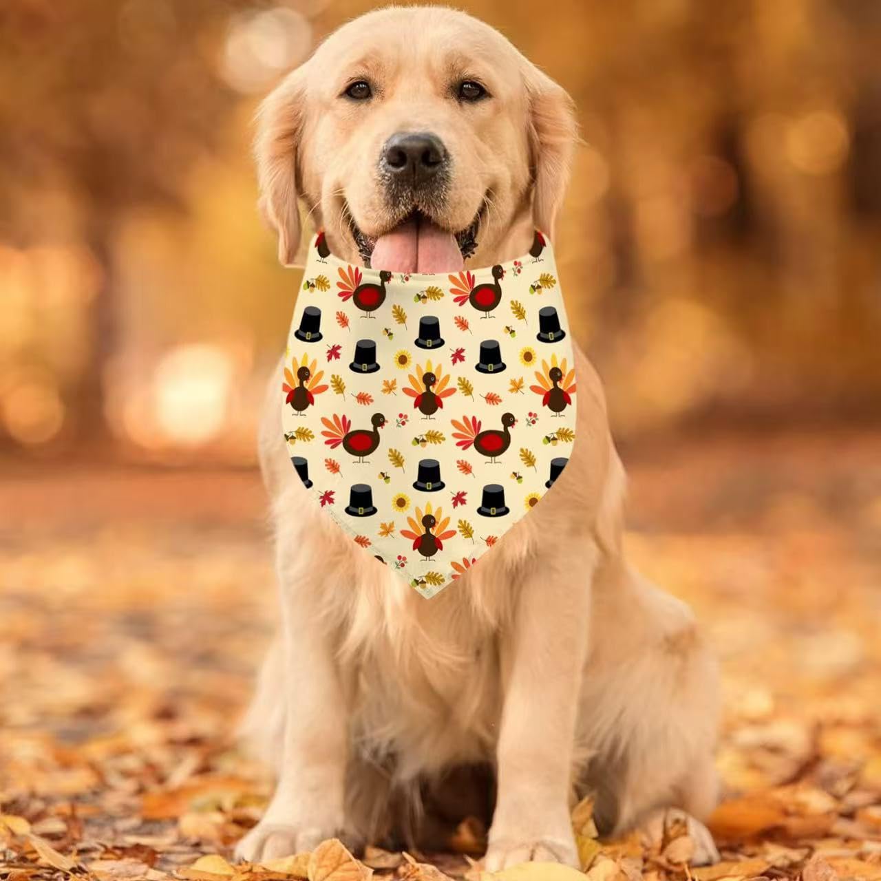 Christmas Dog Bandana Set – 2 Pack Red & Green Plaid Pet Scarf