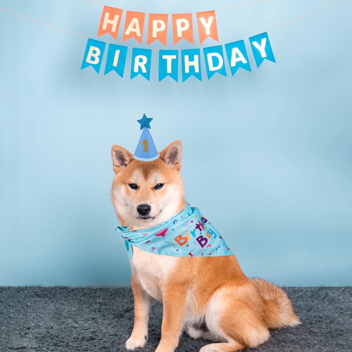 Dog wearing a birthday hat and bandana with 'Happy Birthday' text on a blue background