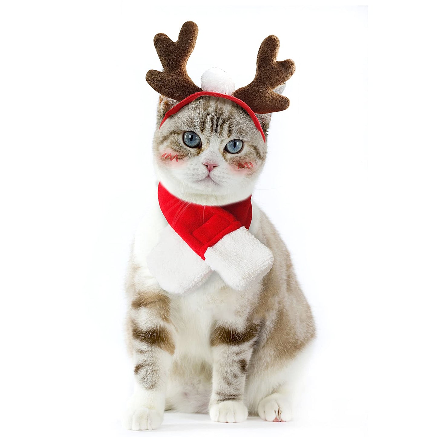 Cat Christmas Costume – Santa Hat & Cloak for Cats and Dogs