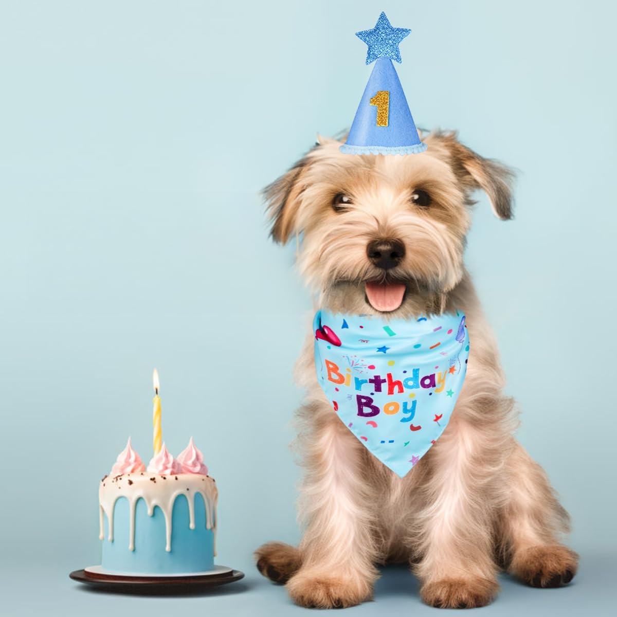 Dog wearing a birthday hat and bandana with a cake and candle on a light blue background