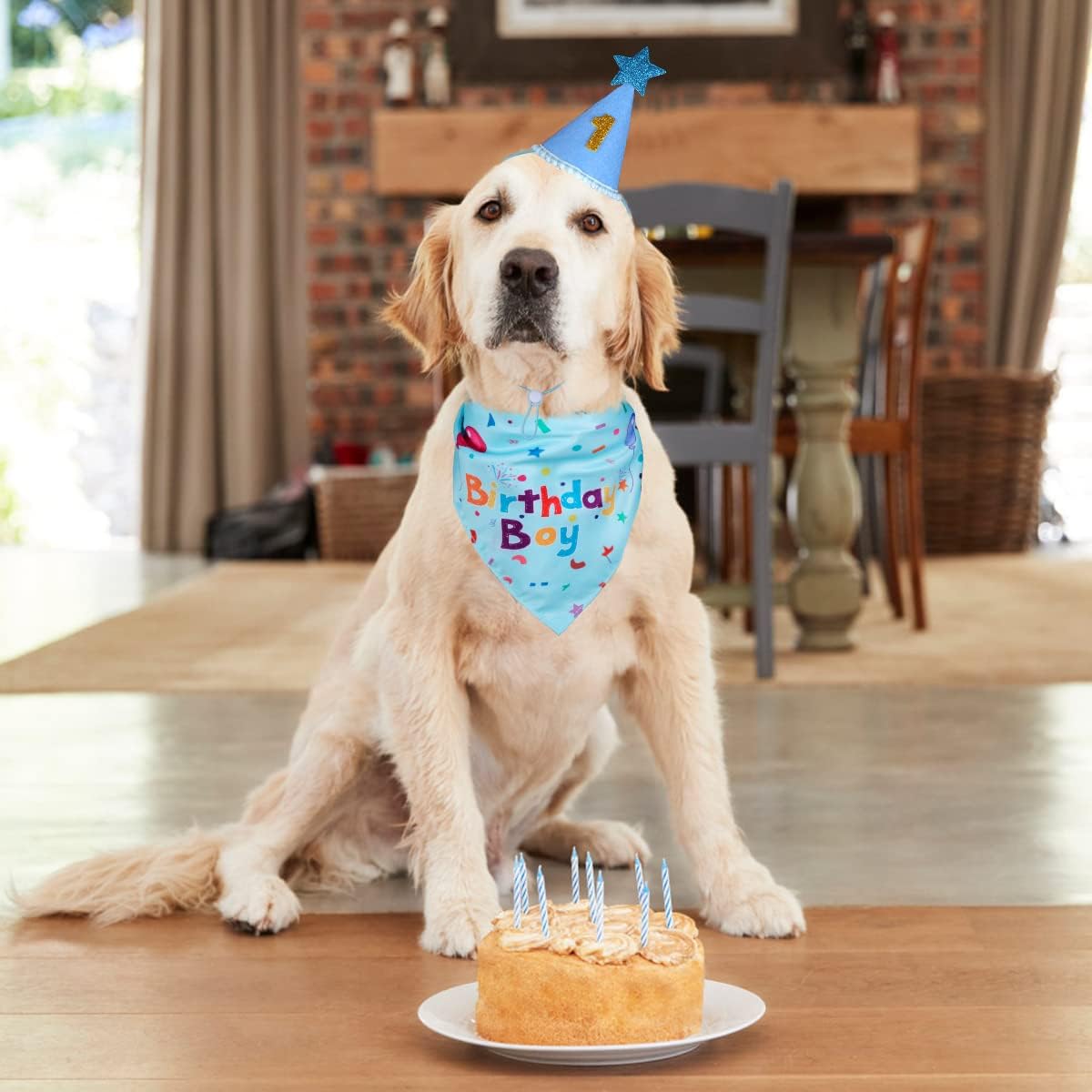 Dog wearing a 'Birthday Boy' bandana with a birthday cake and candles on a wooden floor.