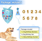 Dog birthday accessories including a bandana, hat, and number stickers on a white background.