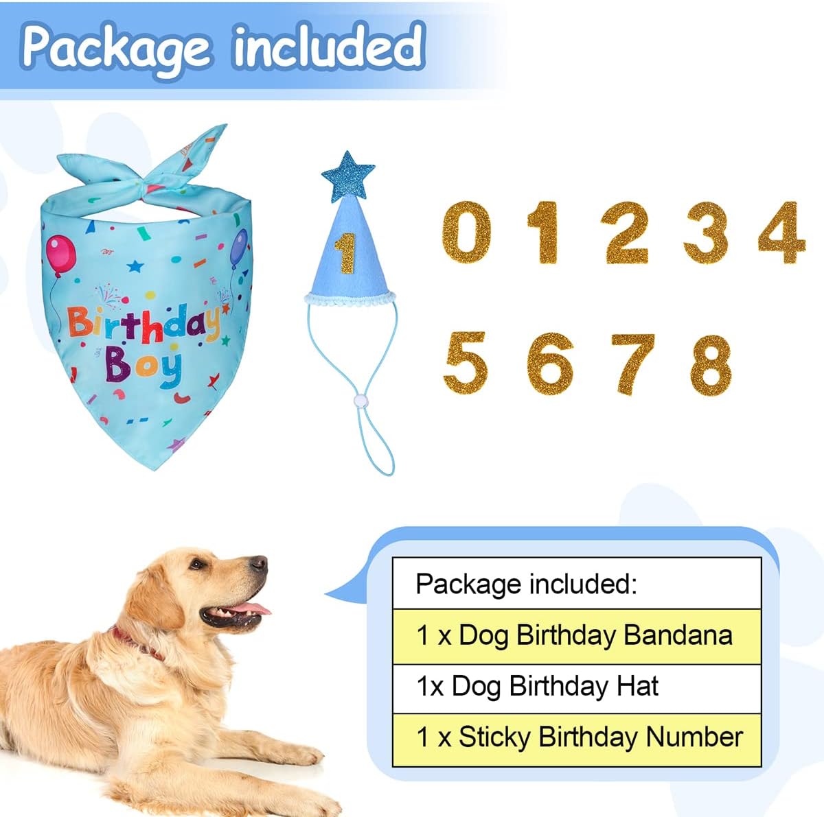 Dog birthday accessories including a bandana, hat, and number stickers on a white background.