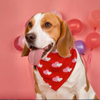 2PCS Christmas Dog Bandanas – Red and Green Plaid with Tassels