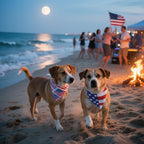 2PCS Christmas Dog Bandanas – Red and Green Plaid with Tassels