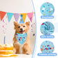 Dog wearing a blue birthday-themed bandana with a cake and candle in the background