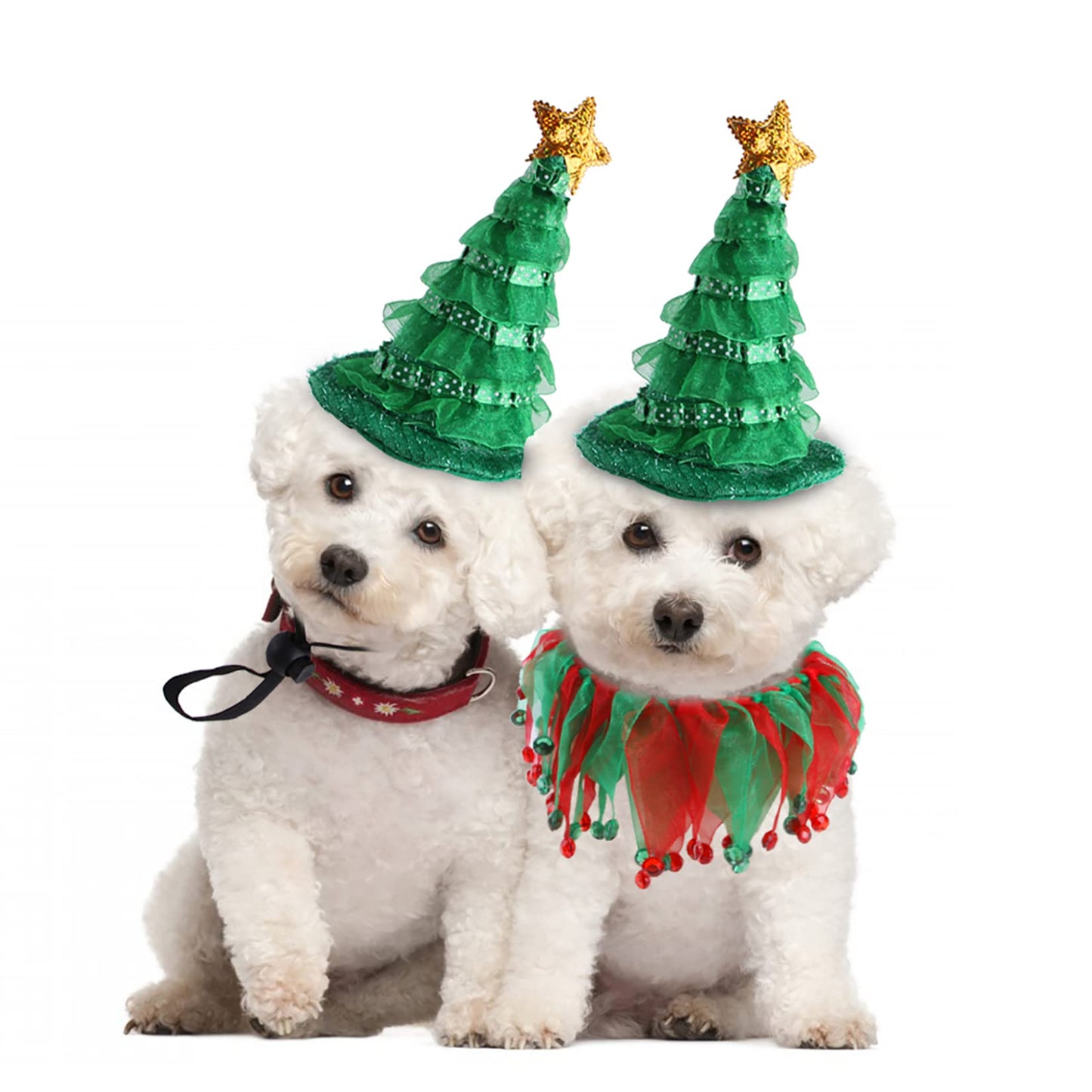 Cat & Small Dog Christmas Costume – Green Hat & Tutu Collar