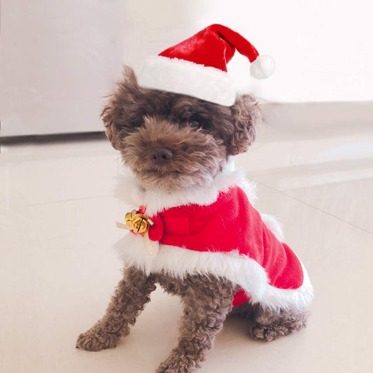 Cat Christmas Costume – Santa Hat & Cloak for Cats and Dogs