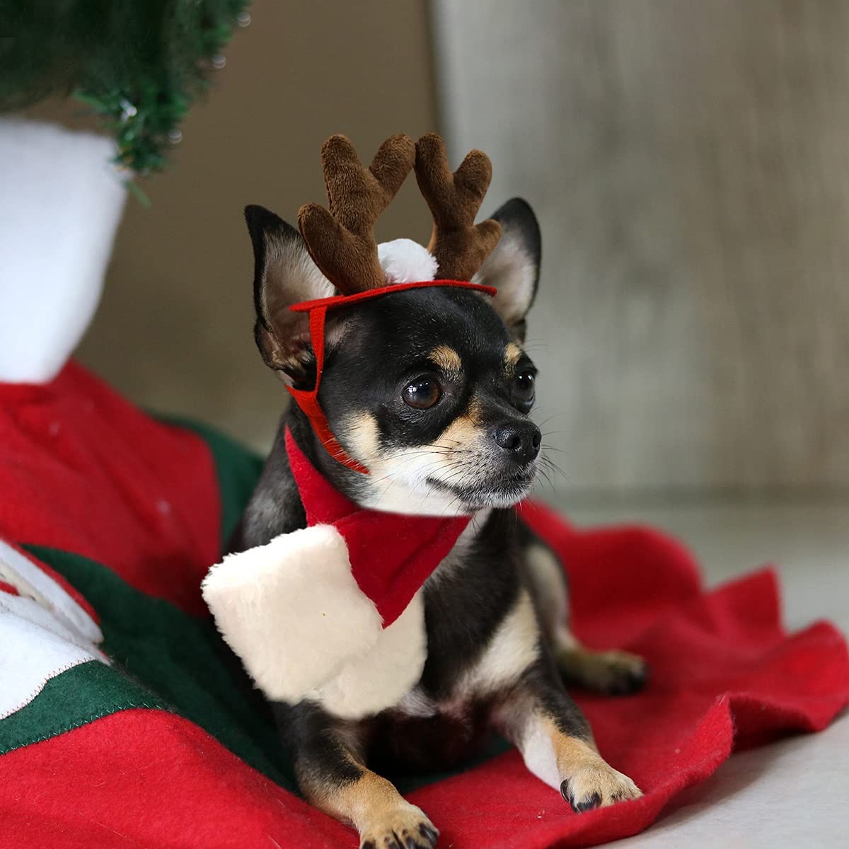 Cat Christmas Costume – Santa Hat & Cloak for Cats and Dogs