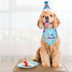 Dog wearing a birthday hat and bandana with a cake on a table