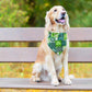 2PCS Christmas Dog Bandanas – Red and Green Plaid with Tassels