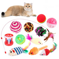 Cat sitting next to a variety of colorful cat toys on a white background