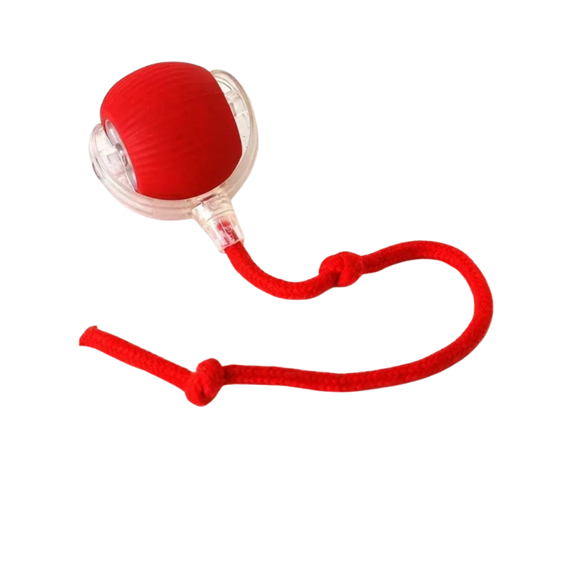 Red ball with a rope on a white background