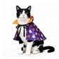 Cat Christmas Costume – Santa Hat & Cloak for Cats and Dogs
