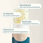 Organic Lip Balm Set (6 Flavors) - 100% Natural Hydrating, Moisturizing for Dry Cracked Lips, Stocking Stuffer Gift for Men & Women