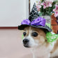 Cat Christmas Costume – Santa Hat & Cloak for Cats and Dogs
