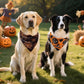 2PCS Christmas Dog Bandanas – Red and Green Plaid with Tassels