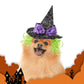 Cat Christmas Costume – Santa Hat & Cloak for Cats and Dogs
