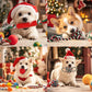 Christmas Dog Toys Bulk 15 Pack – Holiday Puppy Chew & Rope Gift Set