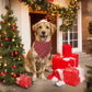 2PCS Christmas Dog Bandanas – Red and Green Plaid with Tassels