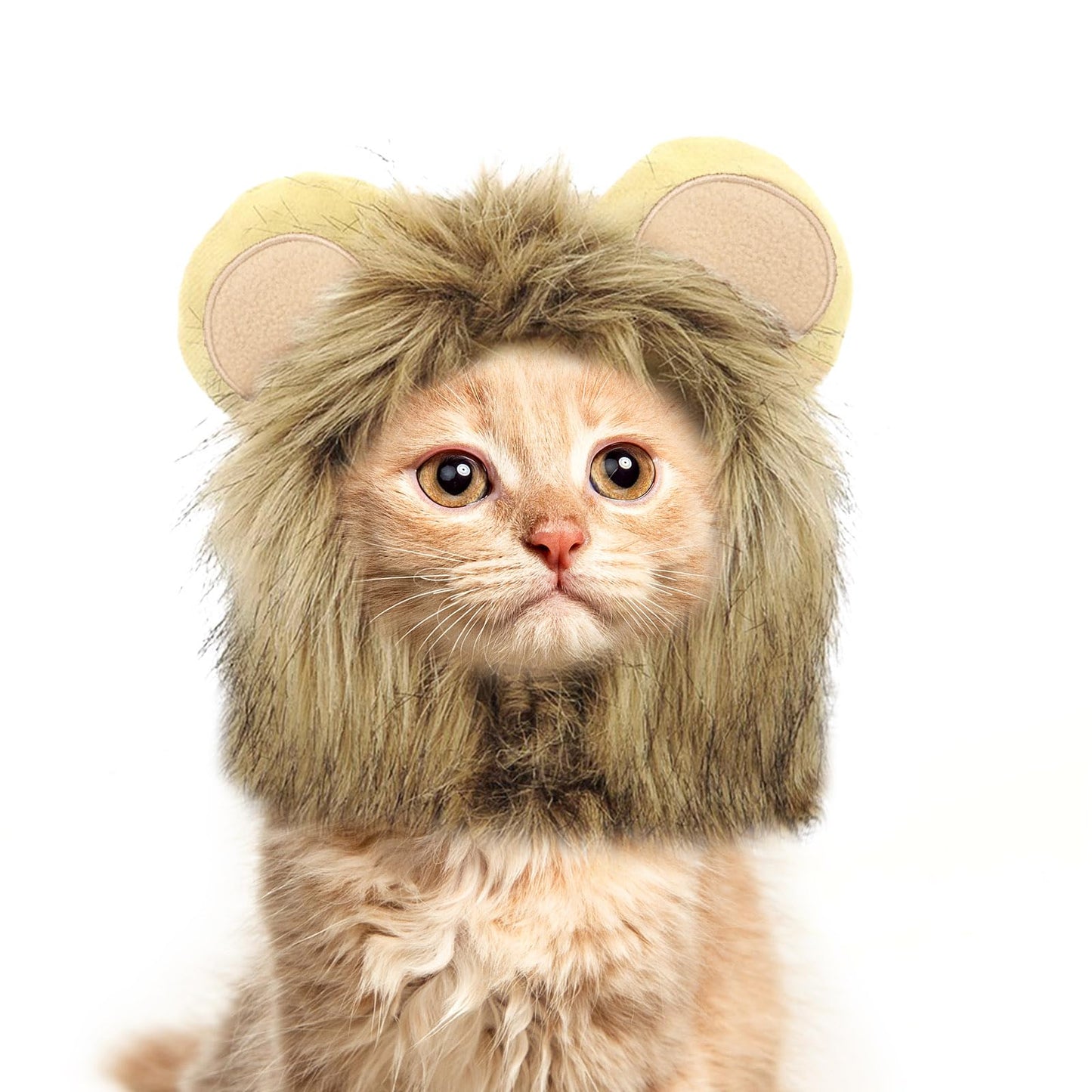 Cat Christmas Costume – Santa Hat & Cloak for Cats and Dogs