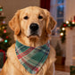 2PCS Christmas Dog Bandanas – Red and Green Plaid with Tassels
