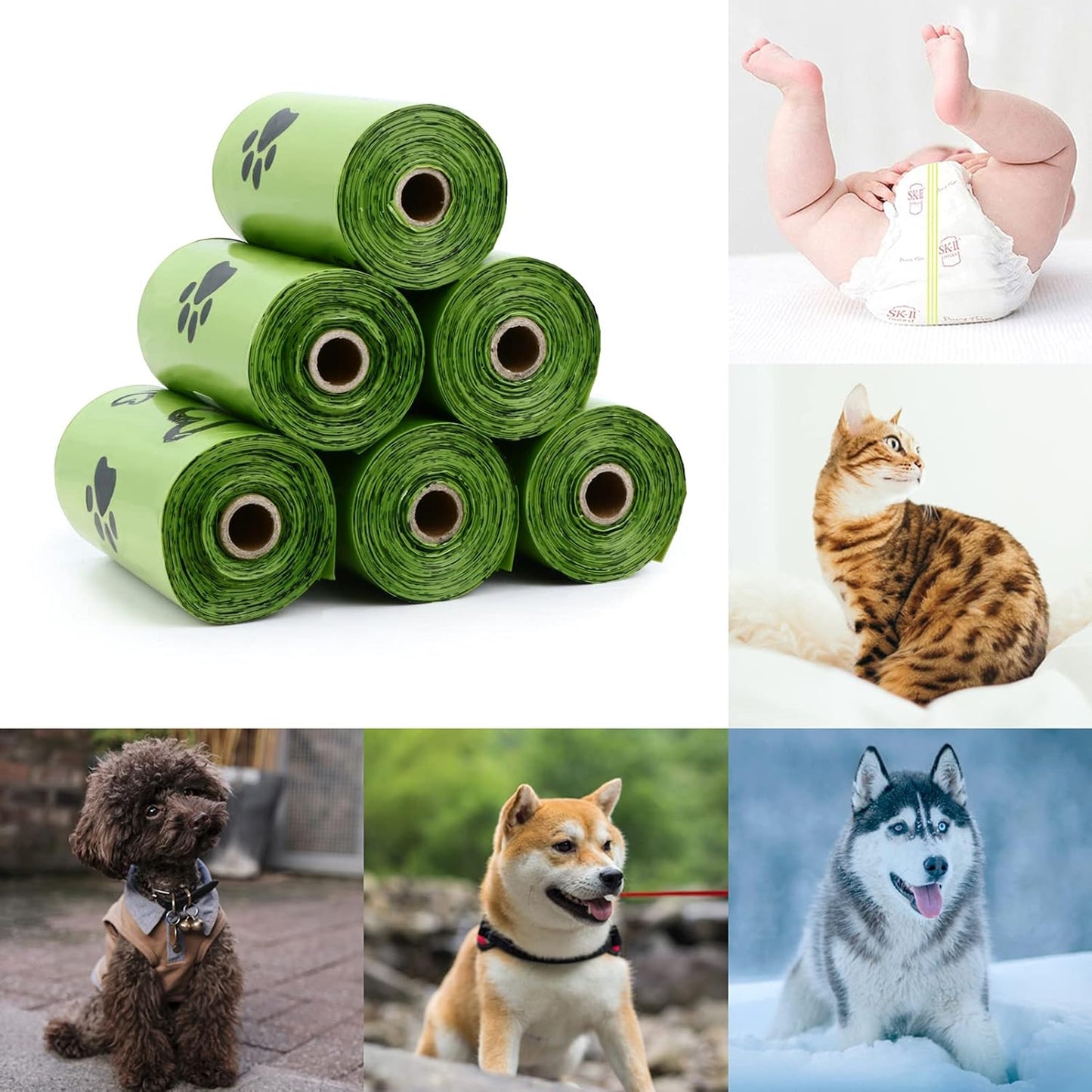 Dog Poop Bags for Every Adventure | Leak-Proof, Eco-Friendly