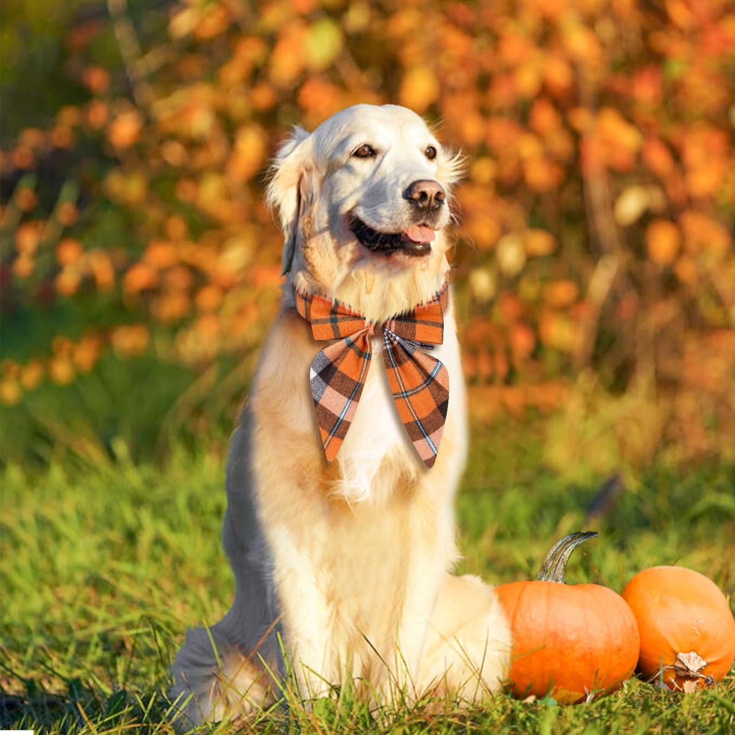 Christmas Dog Collar with Bow Tie – Plaid Adjustable Collar for Pets