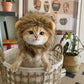 Cat Christmas Costume – Santa Hat & Cloak for Cats and Dogs