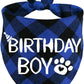 Blue and black checkered bandana with 'Birthday Boy' text and paw print on a white background