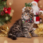 4 Pack Christmas Cat Collars with Bow Tie & Bell