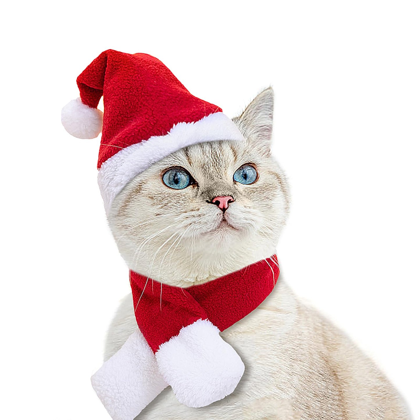 Cat Christmas Costume – Santa Hat & Cloak for Cats and Dogs