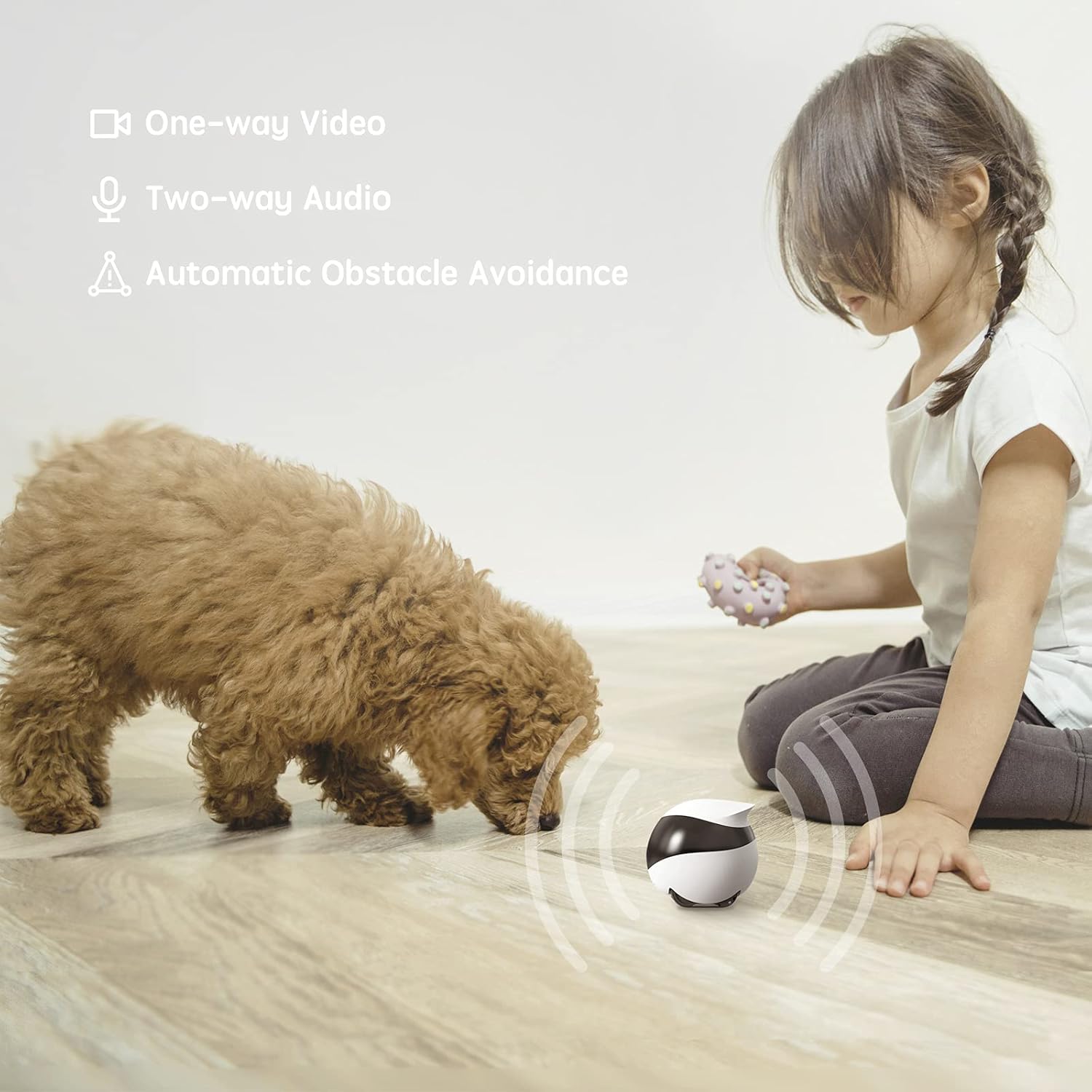 Enabot EBO SE Home Robot Camera: 1080P Mobile FamilyBot Pet Companion | Whole-Home Mobility, Two-Way Talk, Night Vision, Local Storage, Auto-Recharge, Long Distance Gift for Family/Pet