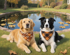 Two dogs, a golden retriever and a Border Collie, sitting by a pond with autumn leaves.