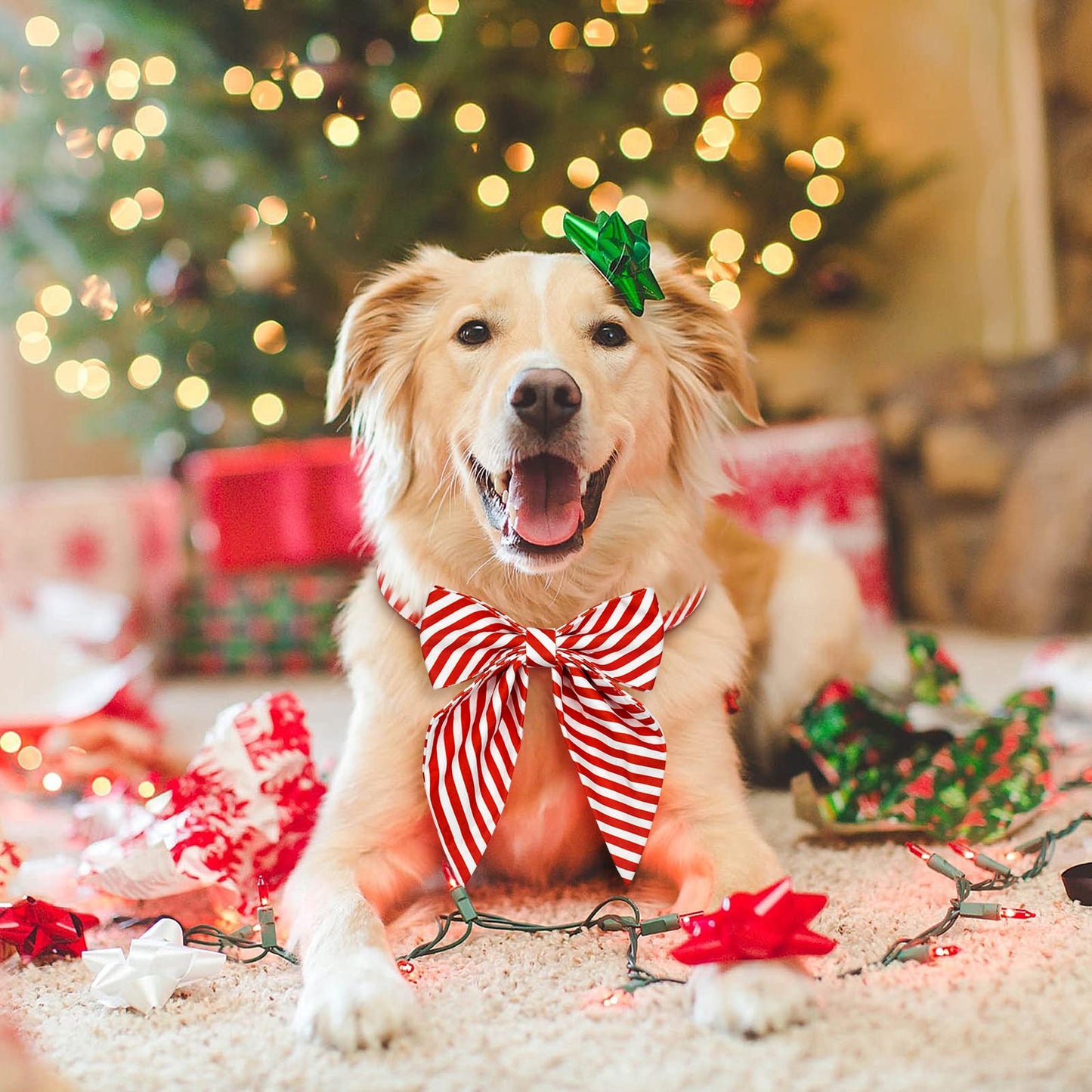 Christmas Dog Collar with Bow Tie – Plaid Adjustable Collar for Pets