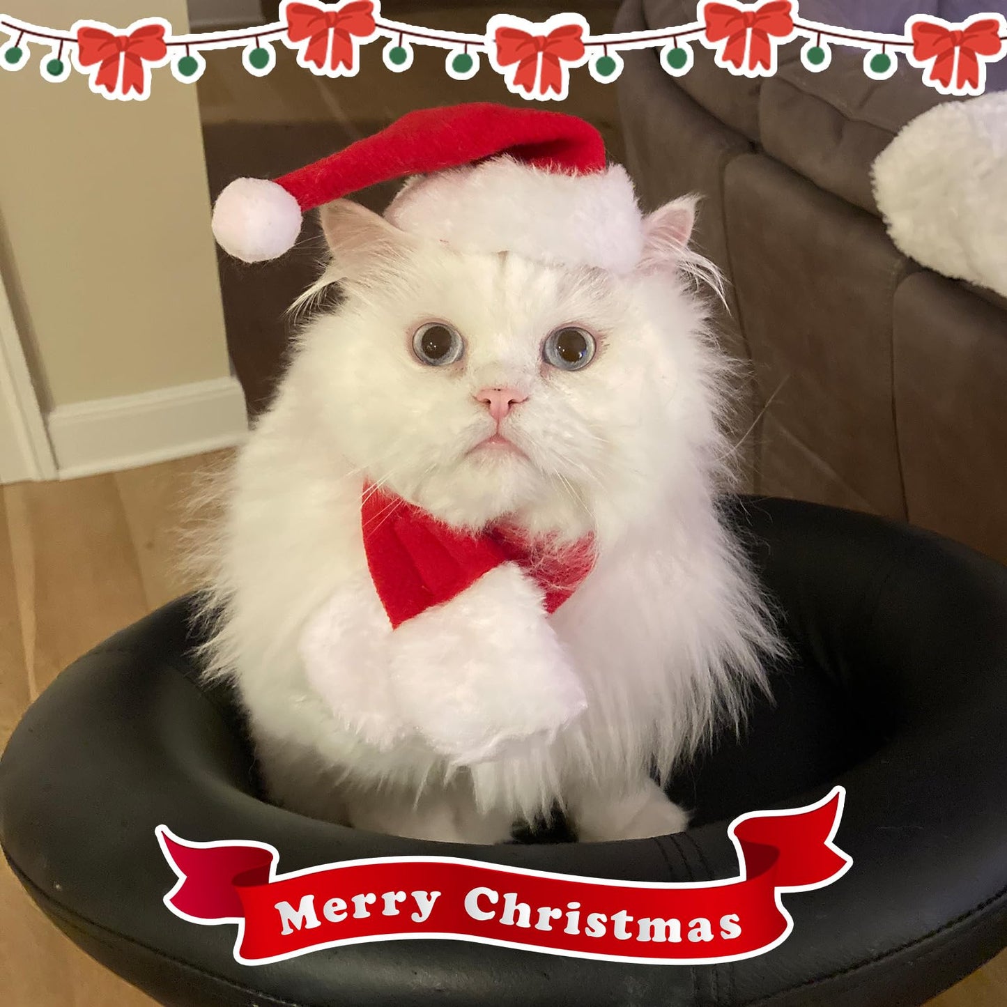 Cat Christmas Costume – Santa Hat & Cloak for Cats and Dogs