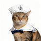 Cat Christmas Costume – Santa Hat & Cloak for Cats and Dogs