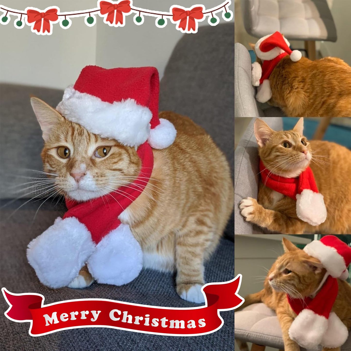 Cat Christmas Costume – Santa Hat & Cloak for Cats and Dogs