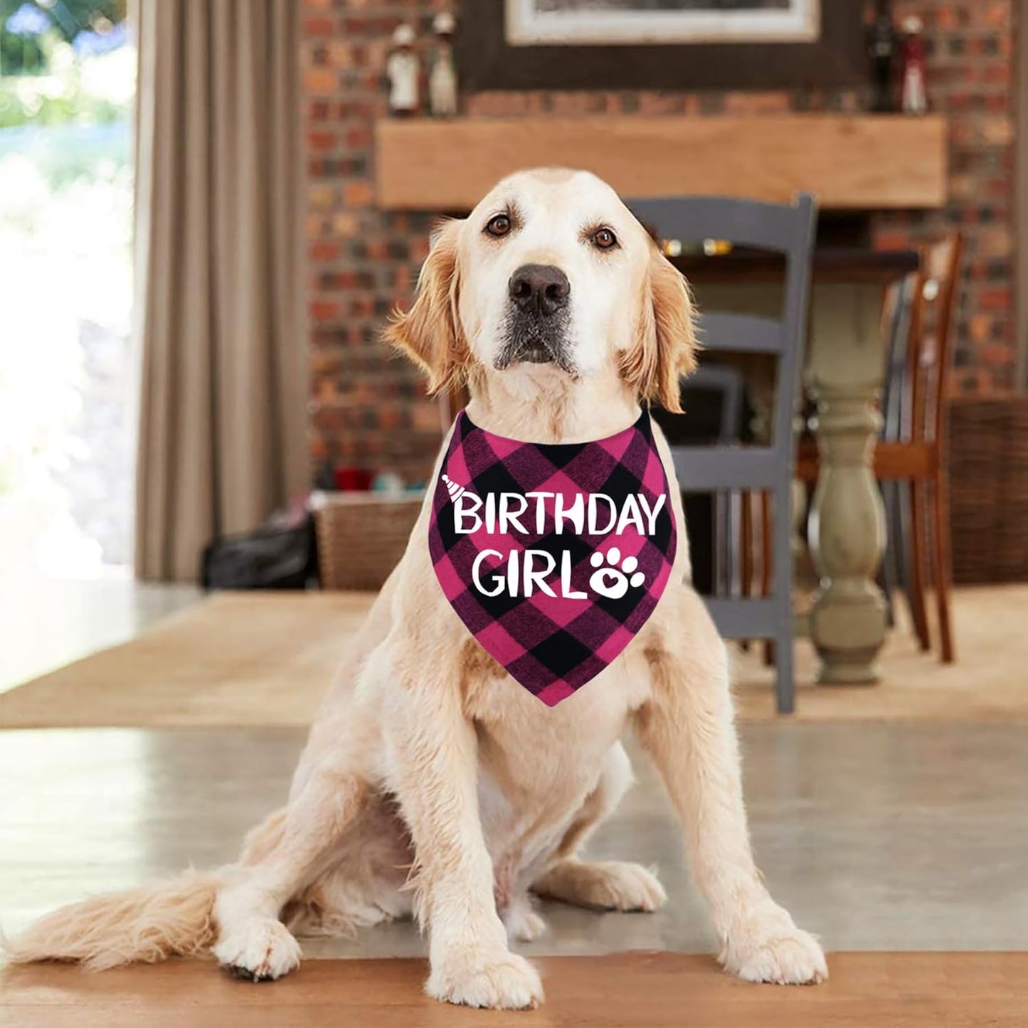 Dog wearing a 'Birthday Girl' bandana in a home setting