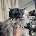Kitten - Mask