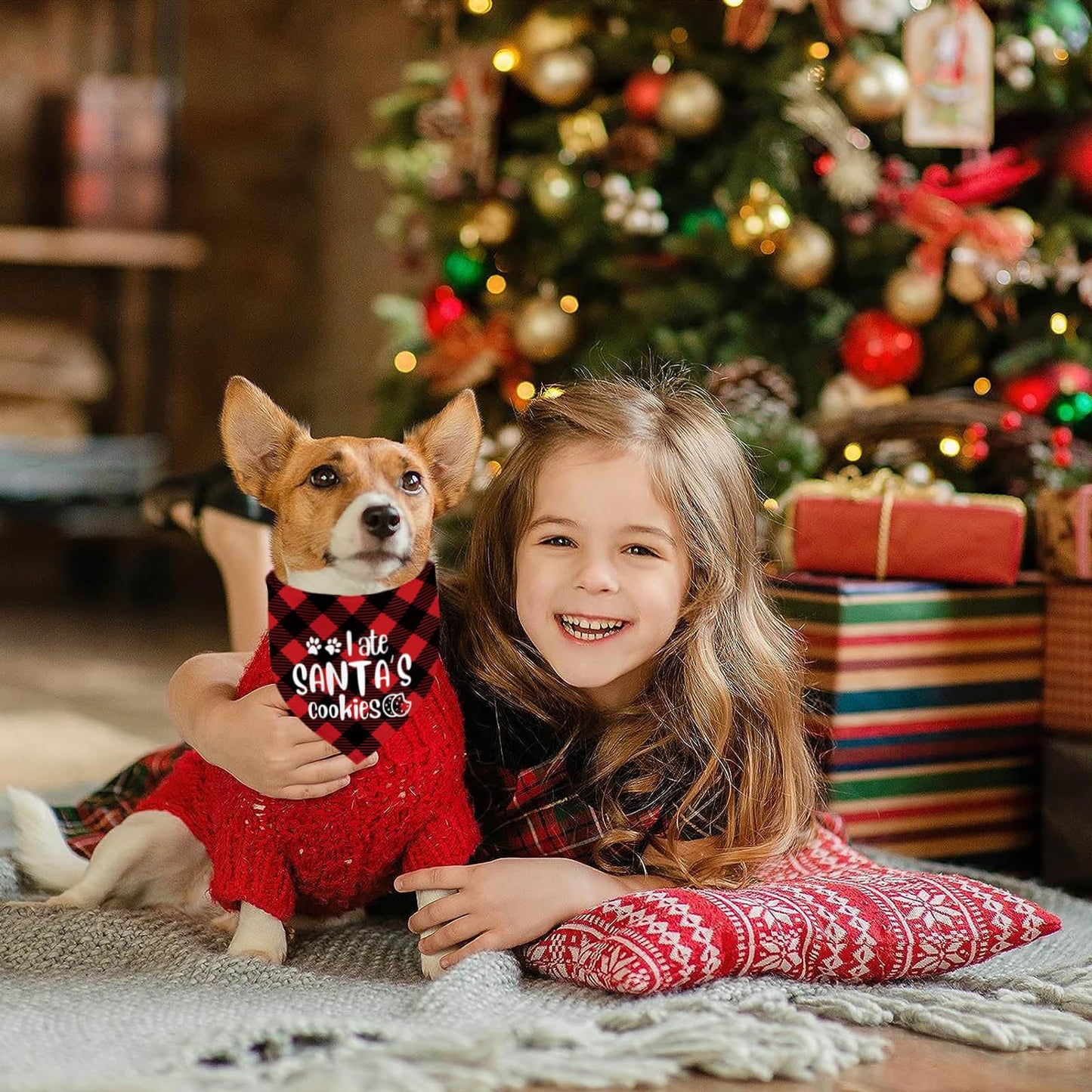 Christmas Dog Bandana Set – 2 Pack Red & Green Plaid Pet Scarf