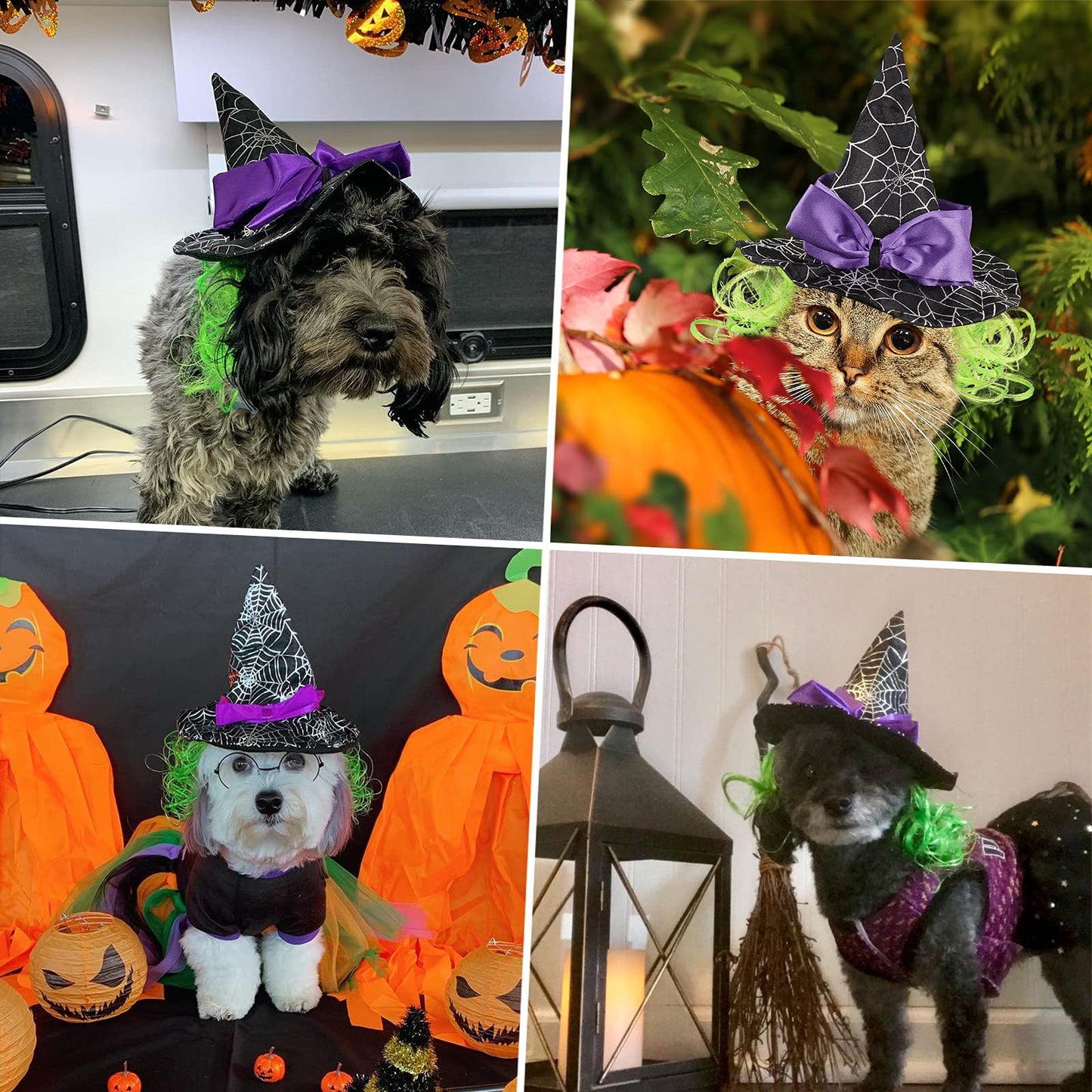 Cat Christmas Costume – Santa Hat & Cloak for Cats and Dogs
